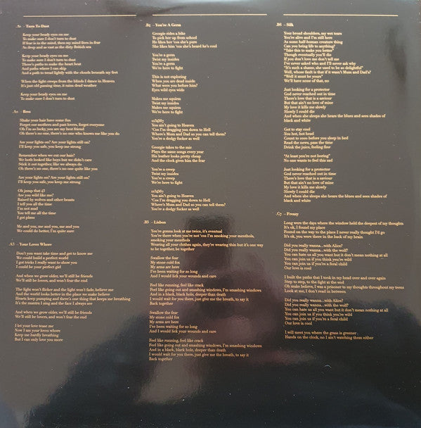 Wolf Alice : My Love Is Cool (2xLP, Album)