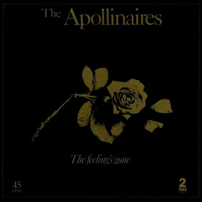 The Apollinaires : The Feeling's Gone (Extended Version) (12", Single)