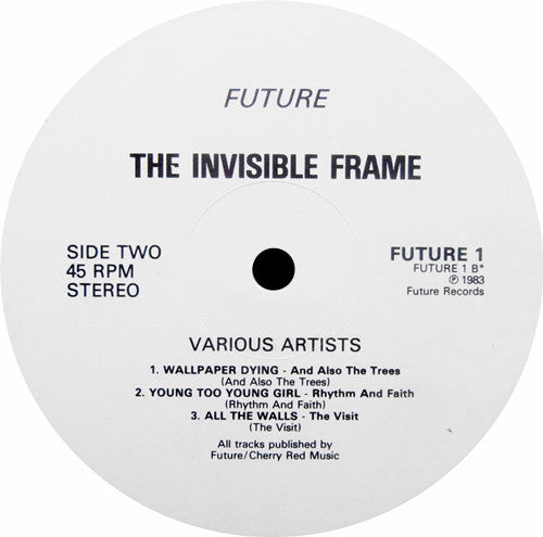 Various : The Invisible Frame (12", MiniAlbum, Comp)