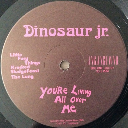 Dinosaur Jr. : You're Living All Over Me (LP, Album, RE)